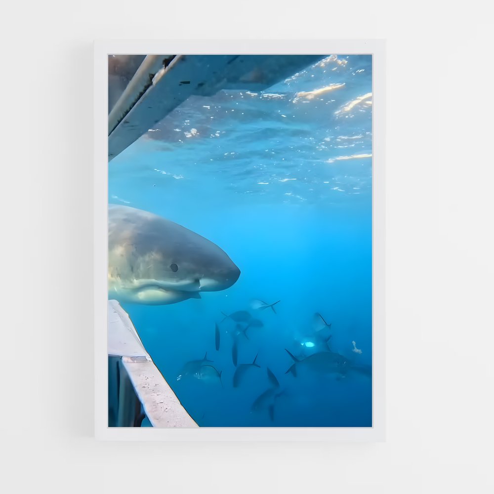 Poster Rencontres Maritimes – affiche Plongée sous-marine (vue 3)